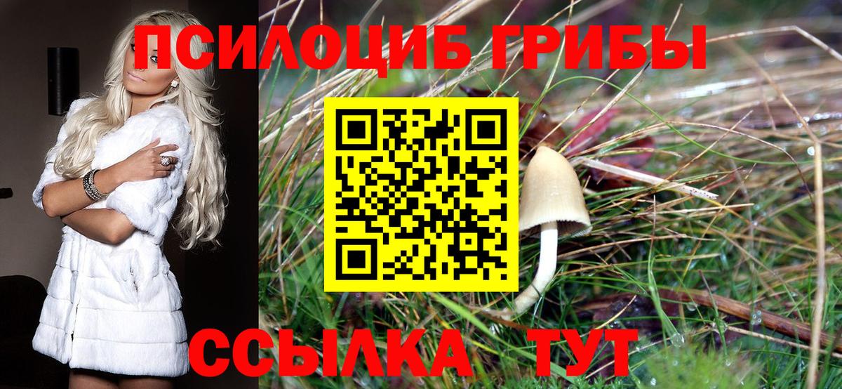 цены наркотик  Вход с VPN  Ирбит  Галлюциногенные грибы Magic Shrooms  Псилоцибиновые грибы MAGIC MUSHROOMS 